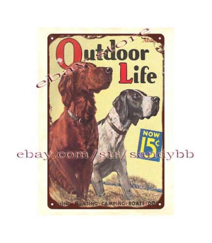 Hunting And Outdoor Shop - 1936 rustic living outdoor hunting dog