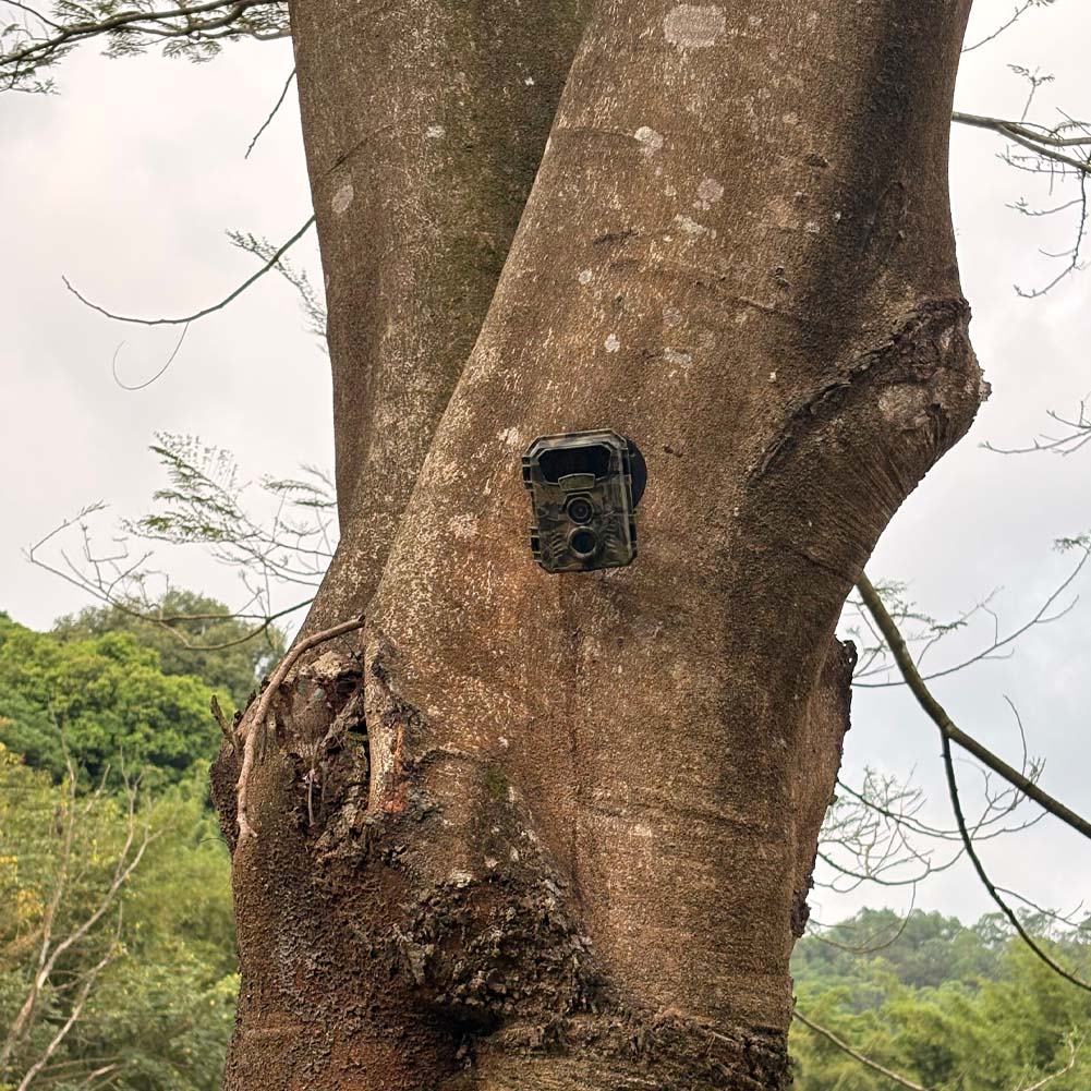 Hunting Trail Camera 16MP 1080 - đánh giá và giá Outdoor Hunting Video Camera