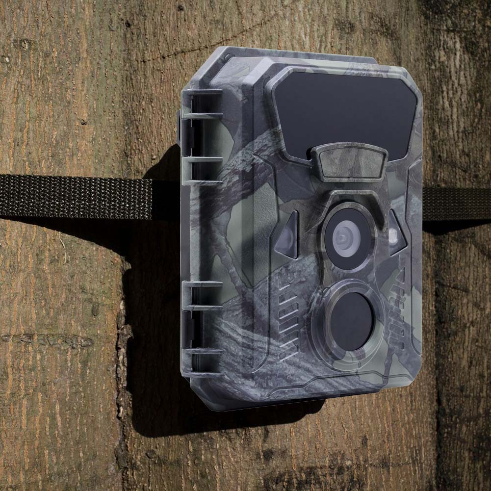 Hunting Trail Camera 16MP 1080 - đánh giá và giá Outdoor Hunting Video Camera