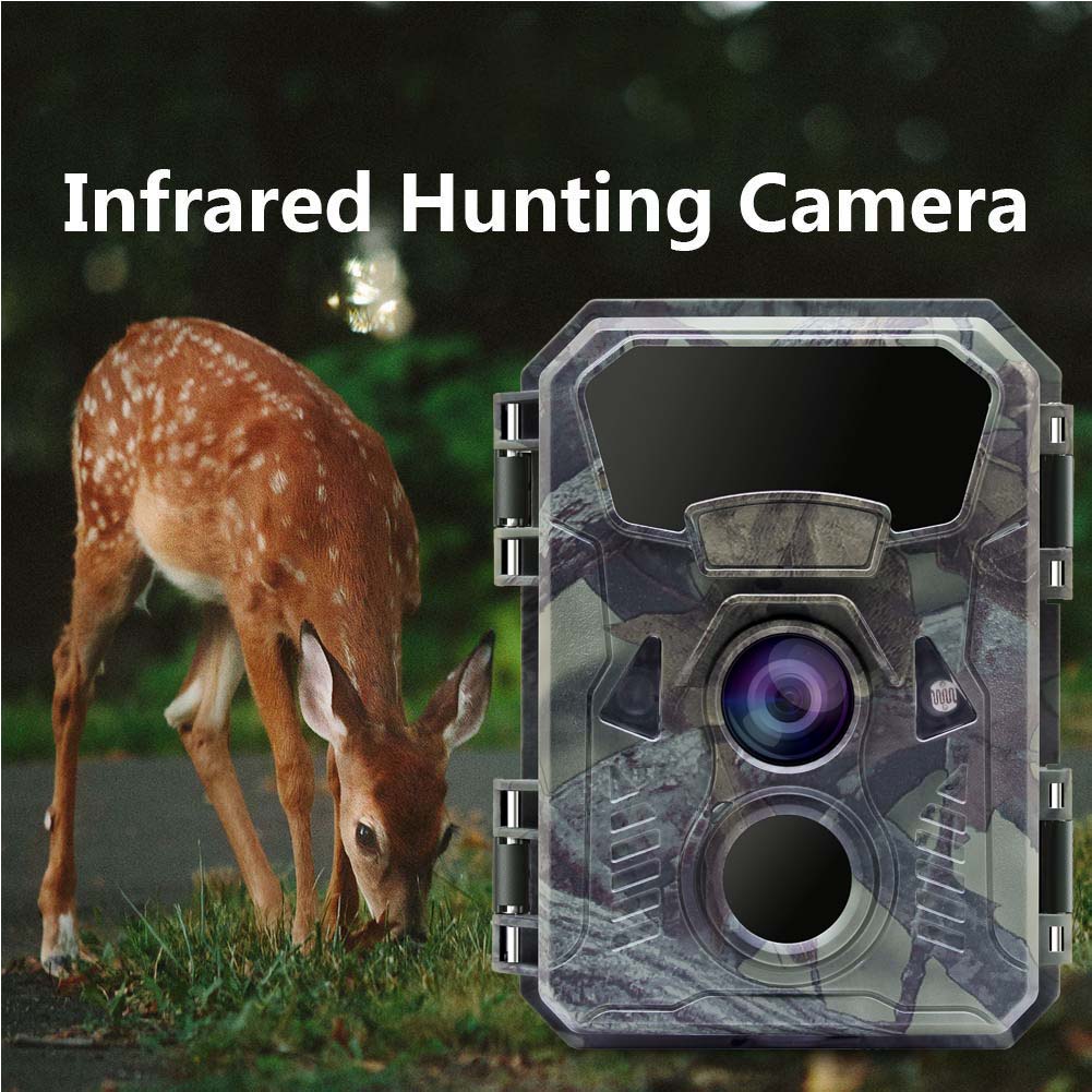 Hunting Trail Camera 16MP 1080 - đánh giá và giá Outdoor Hunting Video Camera