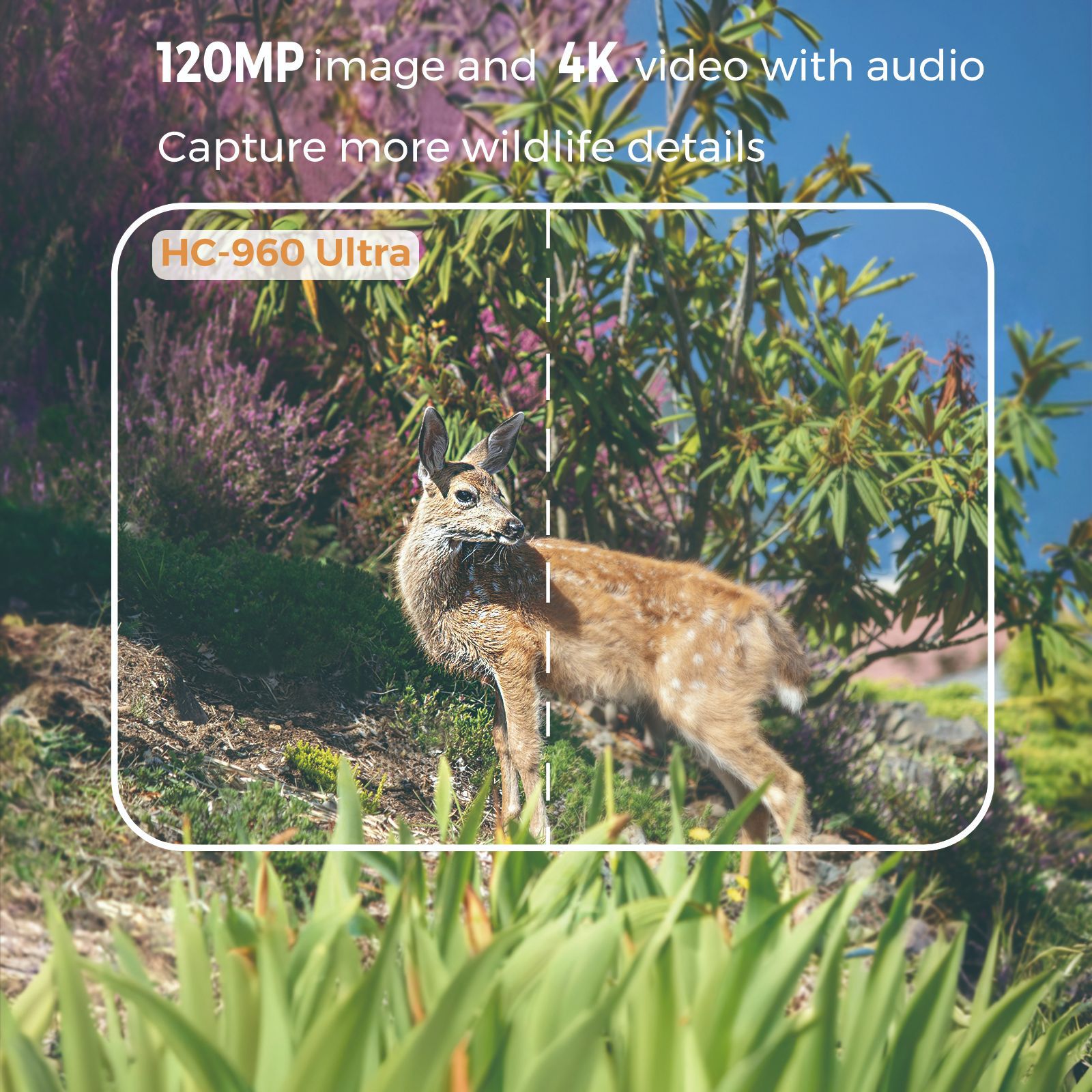 Outdoor 4K Video 120MP Photo 4 - đánh giá và giá Outdoor Hunting Video Camera