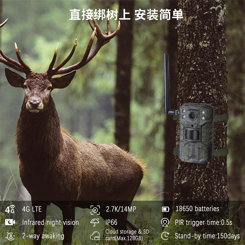4G LTE Solar Hunting Trail Cam - đánh giá và giá Outdoor Hunting Video Camera