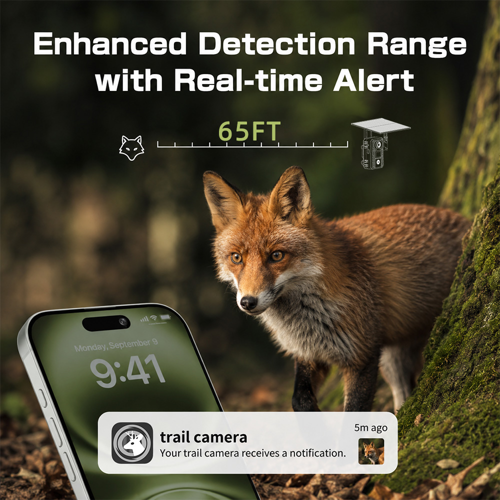EU 4G Cellular 2K Battery Sola - đánh giá và giá Outdoor Hunting Video Camera