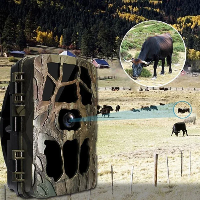 H982 IP66 Chống Thấm Nước 4K H - đánh giá và giá Outdoor Hunting Video Camera